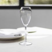 Copa Cava Tritán Reutilizable 20 cl (12 unidades) Irrompible